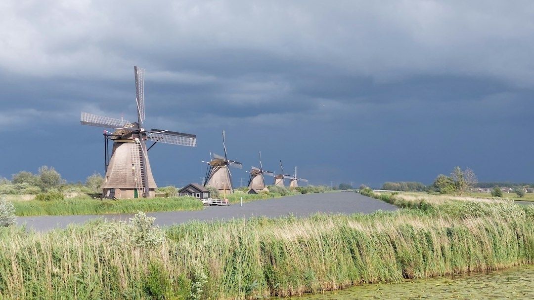 Nederlandse polder met rechte vaart, rietvelden en historische molens